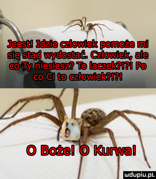 x elan tai. ludu iu. l f f