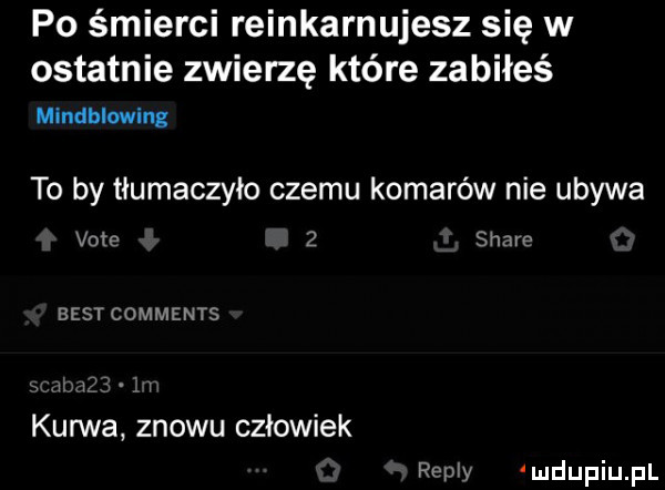 po śmierci reinkarnujesz się w ostatnie zwierzę które zabiłeś mlndbiwing to by tłumaczyło czemu komarów nie ubywa vote   stare best comments ii v v kurwa znowu czlowiek remy mdupiupl