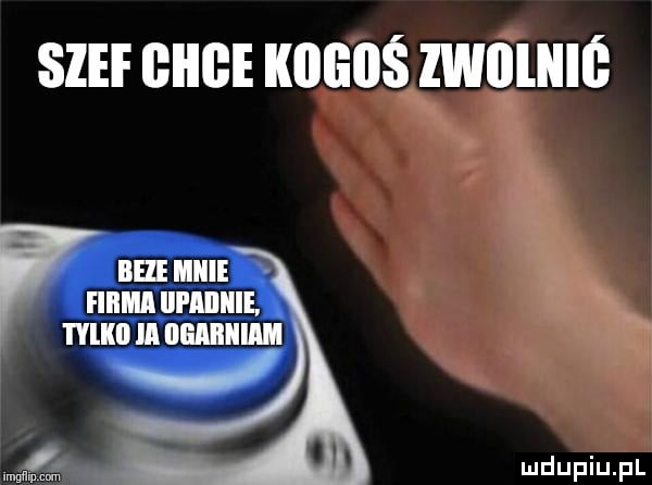 szef giibe kogoś lwiiliiiś bee micie w