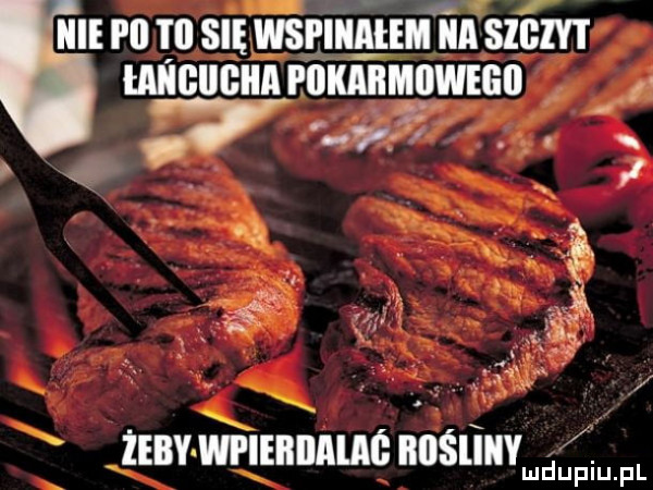 a nie ru smgsggmgunn sac pl