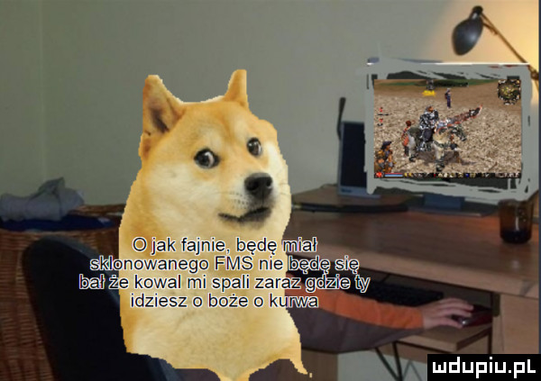 mduplu pl