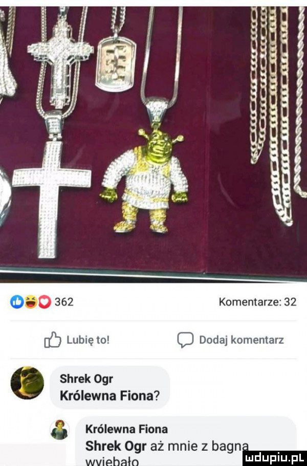 komentarze    ib lubię to o dodaj komentarz shrek ogr królewna figna królewna figna shrek ogr aż mnie z bogn. mduplu pl