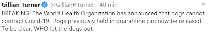 gillian turnera gllllanhturner    min v breaking tee wored health orgamzation has announced trat dogs carnot contract covidr  . dogs previously hild in quarantine an naw be released. to be clear who let tee dogs out