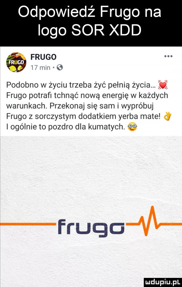 odpowiedź frugo na logo sor xdd frugo    mm podobno w życiu trzeba żyć pełnią życia. u frugo potrafi tchnąć nową energię w każdych warunkach przekonaj się sam i wypróbuj frugo z sorczystym dodatkiem yerba mate iogólnieto pozdro dla kumatych. hugo vl ludu iu. l