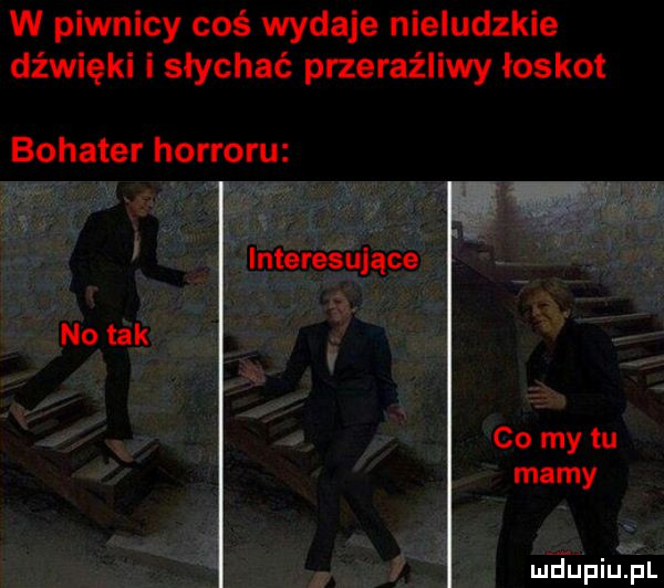 w piwnicy coś wydaje nieludzkie dźwięki i słychać przeraźliwy ioskot bohater horroru interesujące no tak co my tu mamy mjupiupl