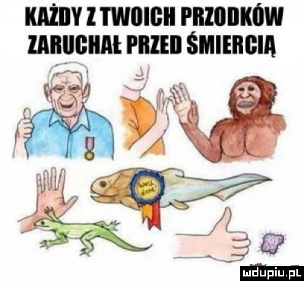 każdy z twiiigh rumunów iaifęighał i iiieii śmiebgia ma a hf