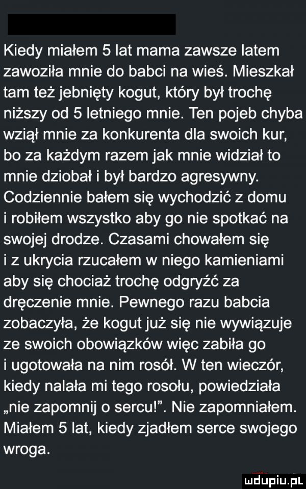 kiedy miałem   lat mama zawsze latem zawoziła mnie do babci na wieś. mieszkał tam też jebnięty kogut który był trochę niższy od   letniego mnie. ten pojeb chyba wziął mnie za konkurenta dla swoich kur bo za każdym razem jak mnie widział to mnie dziobał i był bardzo agresywny. codziennie bałem się wychodzić z domu i robiłem wszystko aby go nie spotkać na swojej drodze. czasami chowałem się i z ukrycia rzucałem w niego kamieniami aby się chociaż trochę odgryźć za dręczenie mnie. pewnego razu babcia zobaczyła że kogut już się nie wywiązuje ze swoich obowiązków więc zabiła go i ugotowała na nim rosół. w ten wieczór kiedy nalała mi tego rosołu powiedziała nie zapomnij o serpul. nie zapomniałem. miałem   lat kiedy zjadłem serce swojego wroga