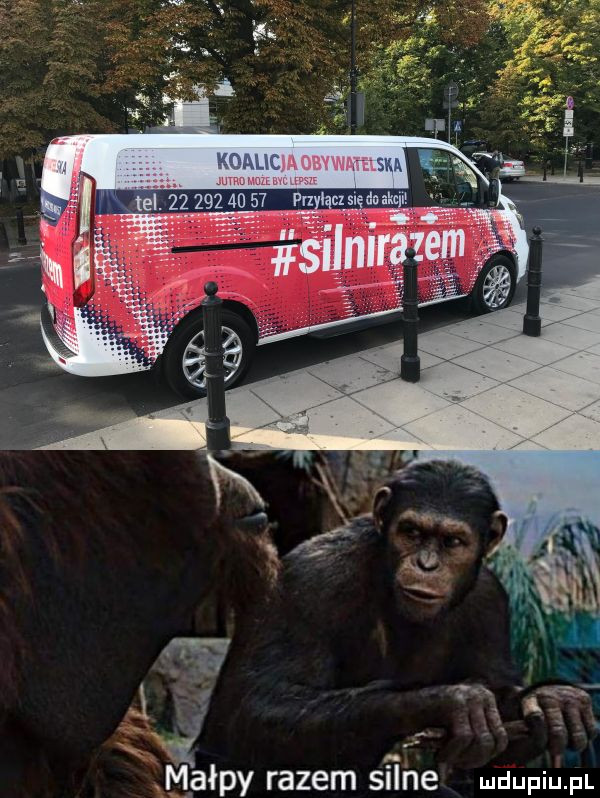 w t małpy razem silne me