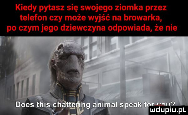 kiedy pytasz się swojego ziomka przez telefon czy może wyjść na browarka po czym jego dziewczyna odpowiada że nie