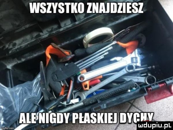 wszystko mnie śl aufńlanv mmama