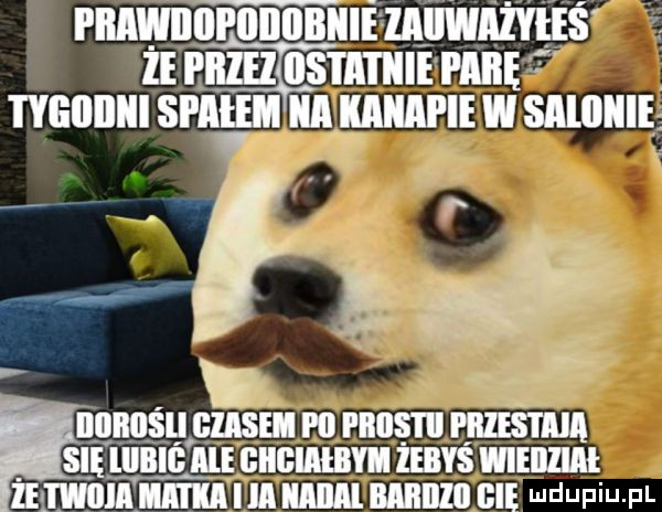 że i iiżeż llstll i icie fice. tygiiiiiii spigimii mapie w sallliiiei film elise i ll fiiiisi ii peżeżś i mą się lllblg ale giigiieiiyh żebyś wieiiżiae lei mam mm iaiial miiiizii bae ndufiu f
