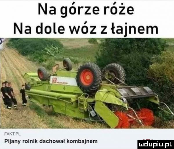 na górze róże na dole wóz z łajnem x. r