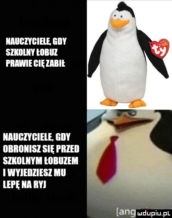 iaiigivgieie. giby suwu i lllllll prawie ell iabii iiiigiwieie. liily iibiiiiiiisi się i iiieii sikiiiiiym i lllllllem i wyieiiziesi mi lipę ica by r v aeg a. duciu pl