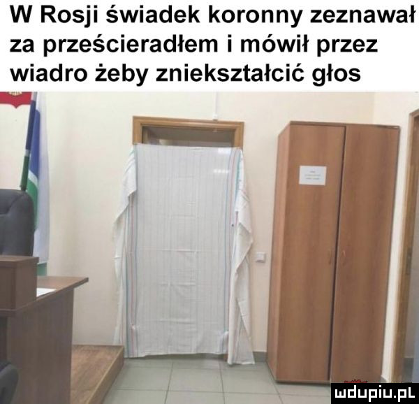 w rosji świadek koronny zeznawał za prześcieradłem i mówił przez wiadro żeby zniekształcić glos
