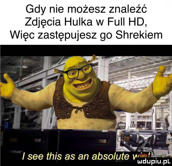 gdy nie możesz znaleźć zdjęcia hulka w full hd więc zastępujesz go shrekiem i sie tais as an absolute w ludupiu. pl