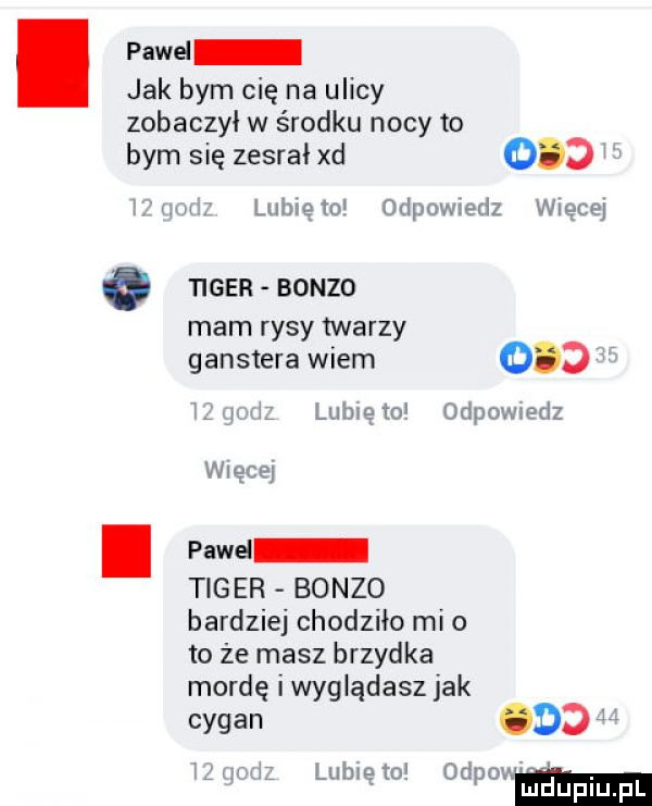 pawel jak bym cię na ulicy zobaczył w środku nocy to bym się zesrał xd     mm lubręm odpowiedz wnęce ger bonzo mam rysy twarzy ganstera wiem     h jm lubię to odpowiedz wnęce paweł tiger bonzo bardziej chodziło mio to że masz brzydka mordę i wyglądasz jak cygan ocd m m lubręm orman m