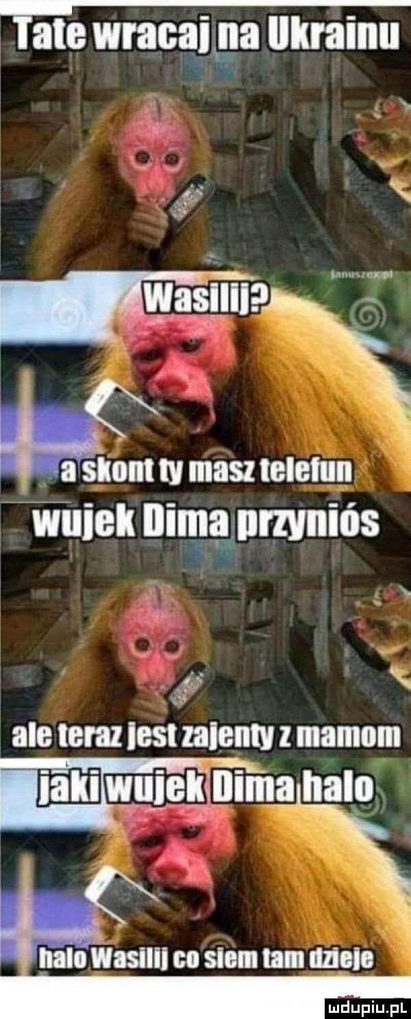 iate wracaigga llkrainu łeb s. x wasllll raz x t masz leletun wuiell nimąlllmniós. gb ale teraz     nici l mamom śnlmawule halo halo w asllll cu sioiii lam molo ludupiu. pl