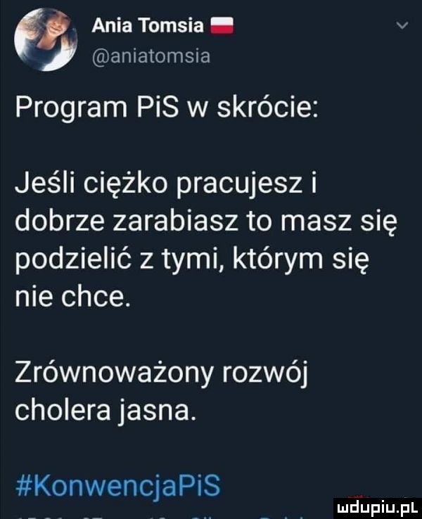 aniatomsia ania tomcia. v program pis w skrócie jeśli ciężko pracujesz i dobrze zarabiasz to masz się podzielić z tymi którym się nie chce. zrównoważony rozwój cholera jasna. konwencjapis