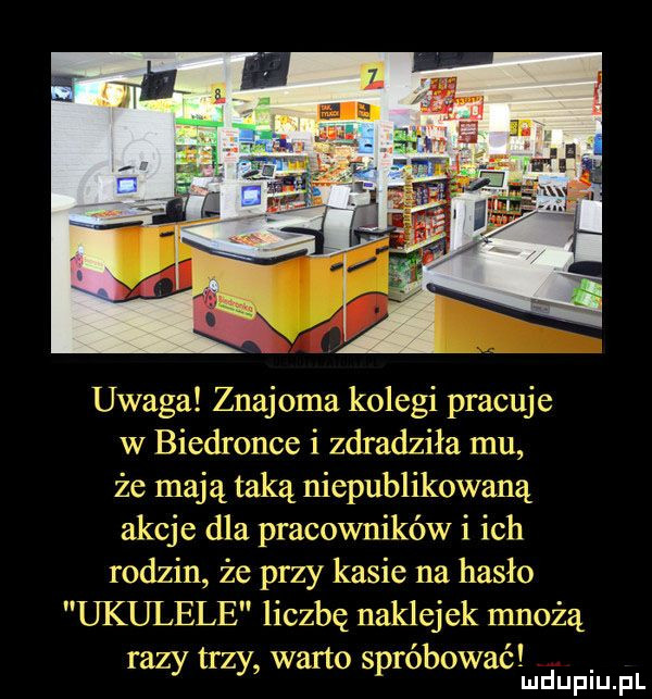 uwaga znajoma kolegi pracuje w biedronce i zdradziła mu że mają taką niepublikowaną akcje dla pracowników i ich rodzin że przy kasie na hasło ukulele liczbę naklejek mnożą razy trzy warto spróbować mduplu pl