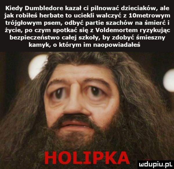 kiedy dumbledore kazal ci pilnować dzieciaków ale jak robiłeś herbate to uciekli walczyć z   metrowym trójgłowym psem odbyć partie szachów na śmierć i życie po czym spotkać się voldemortem ryzykując bezpieczeństwo calej szkoly by zdobyć śmieszny kamyk o którym im nanpowiadaleś holipka
