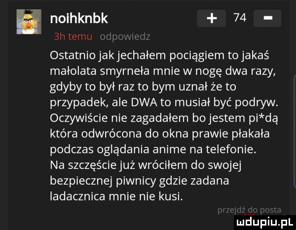 b nolhknbk    ostatniojakjechalem pociągiem tojakaś małolata smyrnela mnie w nogę dwa razy gdyby to byl raz to bym uznał że to przypadek ale dwa to musiał być podryw. oczywiście nie zagadałem bojestem pi dą która odwrócona do okna prawie płakała podczas oglądania anime na telefonie. na szczęście już wróciłem do swojej bezpiecznej piwnicy gdzie zadana ladacznica mnie nie kusi