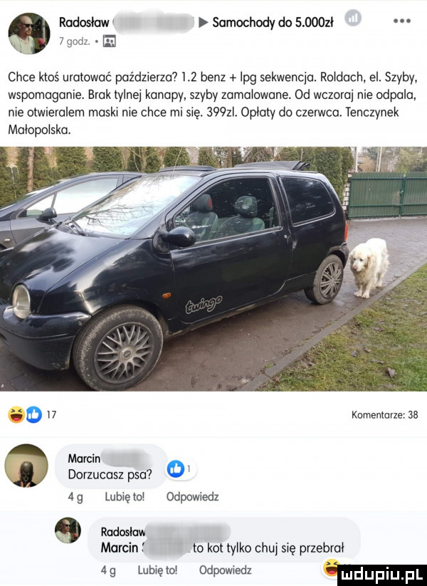 radosław samochody do         xx ygodz m chce ktoś uratować poidzielza     benz lpg sekwencja. ro dach el. szyby wspomaganie. bruk tylnej kanapy szyby zamałewone.  d wczoraj me odpala nie otwievalem muska nie chce mi się.     l ophity do czerwcu tenczynek malopolska. o w knmenmvze ax marcin dorzucasz psu o ag lubzęmw odpowiedz radoslaw marcin f to kot tylko chuj się przebrał dg lubcu odpowiedz w