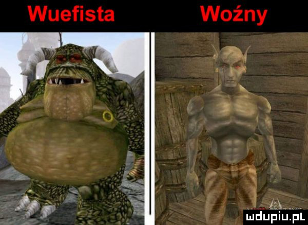 wuefista woźny   x v a l m