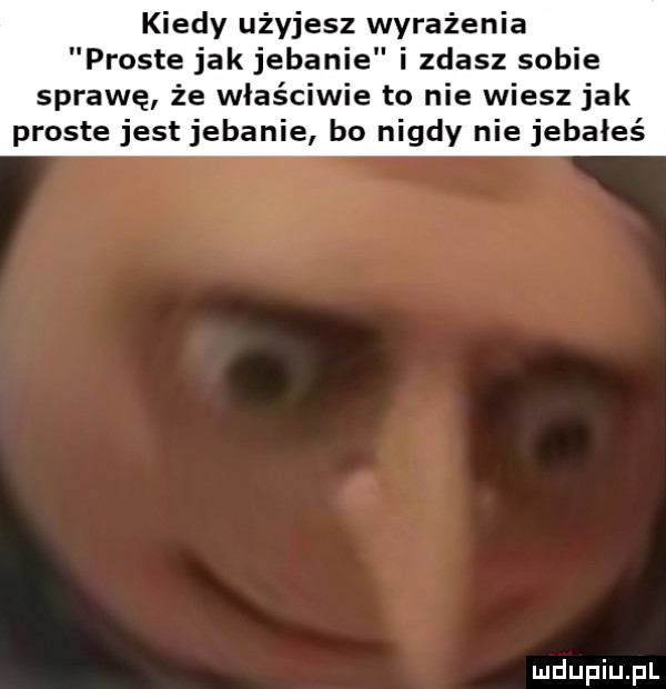 kiedy użyjesz wyrażenia proste jak jebanie i zdasz sobie sprawę że właściwie to nie wiesz jak proste jest jebanie bo nigdy nie jebałeś