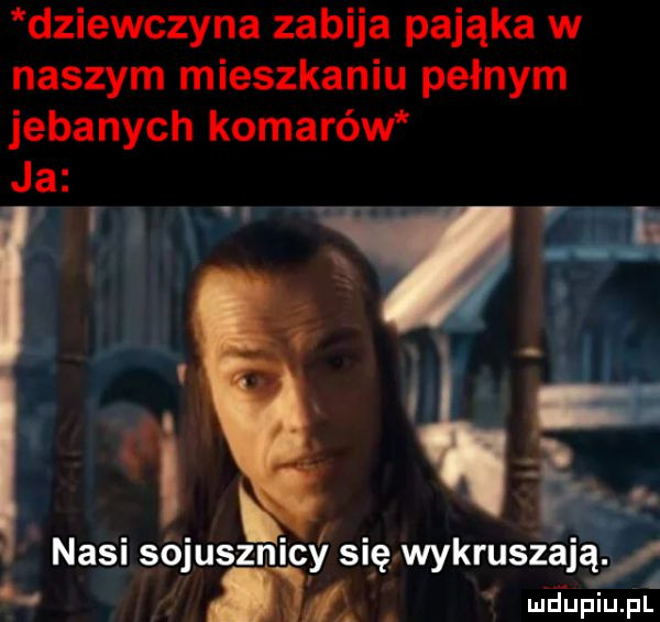 dziewczyna zabija pająka w naszym mieszkaniu pełnym jebanych komarów ja.  . nasi sojusznicy się wykruszają. n t