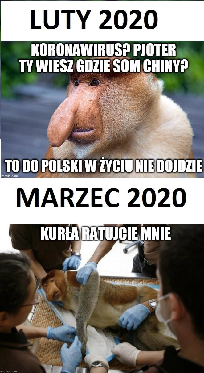 luty      kiibiiiiawibiis plii i eb wiesz giiiie slim giiiiiy rg no      w mm ncl zli marzec
