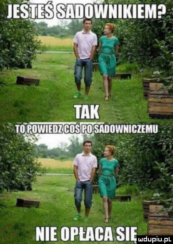 iesme s snugwiumma. q. nie wima si t