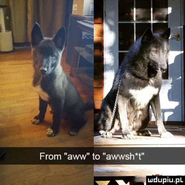 from a6w to awwsh t w