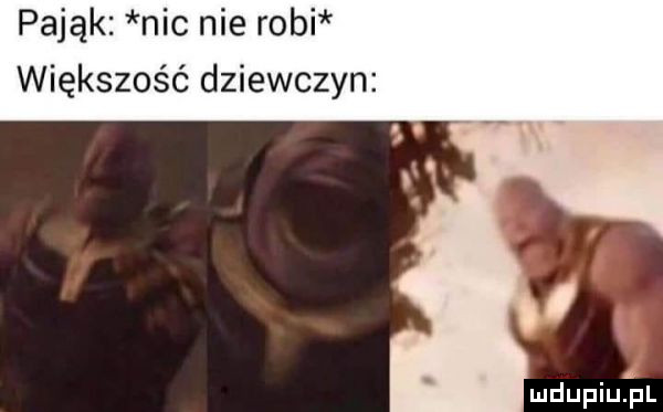 pająk nic nie robi większość dziewczyn mdupiuij