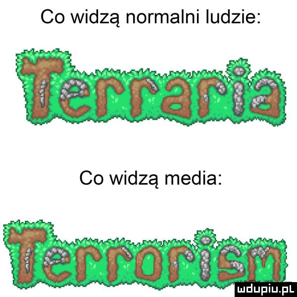 co widzą normalni ludzie co widzą media