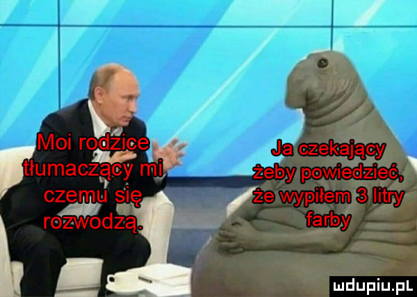 ja czekający żeby powiedzieć że wypilem   litry farby
