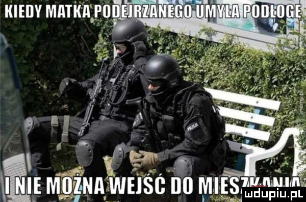 eli mozna weiśc ilii mieseﬁﬂ ﬂ ﬂl