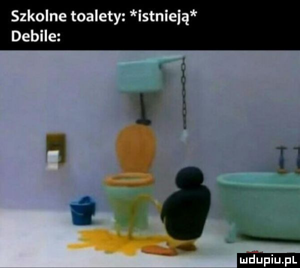 szkolne toalety istnieją debile x o