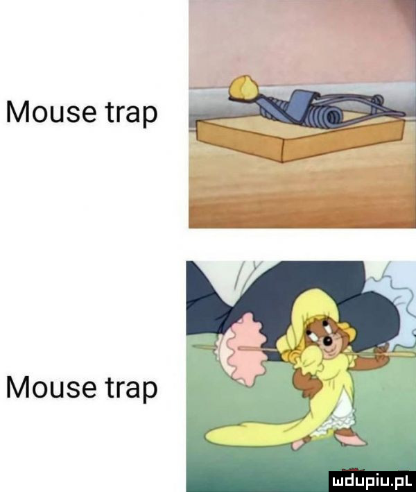 morse trap morse trap