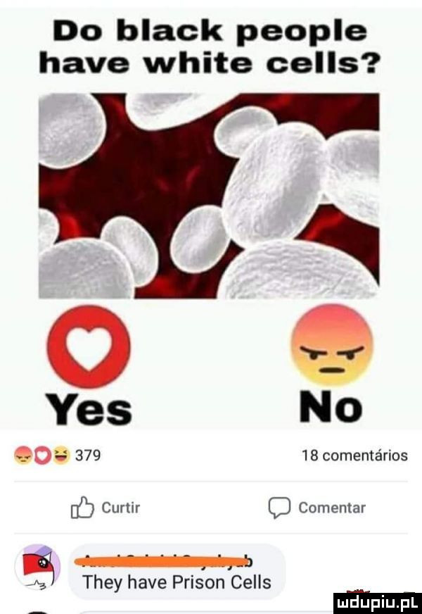 do black people hace white cells   q           comentérios ó curtir o cornemar   they hace prison cells