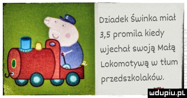 dziadek świnka miał     promila kiedy wjechał swoją małą lokomotywą u tłum przedszkolaków