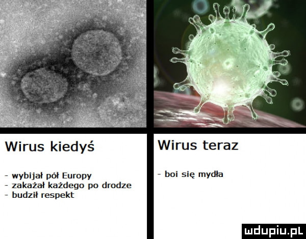 wirus kiedyś wirus teraz wybija pół europy boi się my na zakaża każdego pa drodze budził respekt