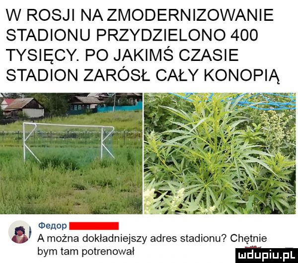 w rosji na zmodernizowanie stadionu przydzielono     tysięcy. po jakimś czasie stadion zarósł cały konopką.        a a można dokładniejszy adres stadionu chętnie bym tam potrenowaﬁ