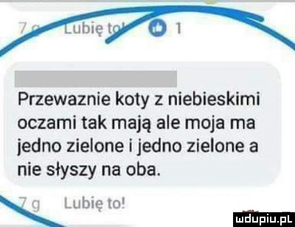 muhięi    k przewaznie koty z niebieskimi oczami tak mają ale moja ma jedno zielone i jedno zielone a nie słyszy na oba. lubię to