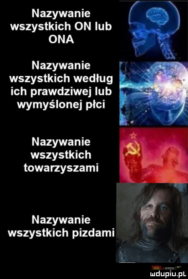 nazywanie wszystkich on lub ona nazywanie wszystkich według ich prawdziwej lub wymyślonej płci nazywanie wszystkich towarzyszami nazywanie wszystkich pizdami