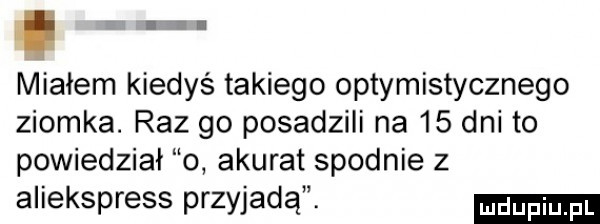 miałem kiedyś takiego optymistycznego ziomka. raz go posadzili na    dni to powiedział o akurat spodnie z aliekspress przyjadą