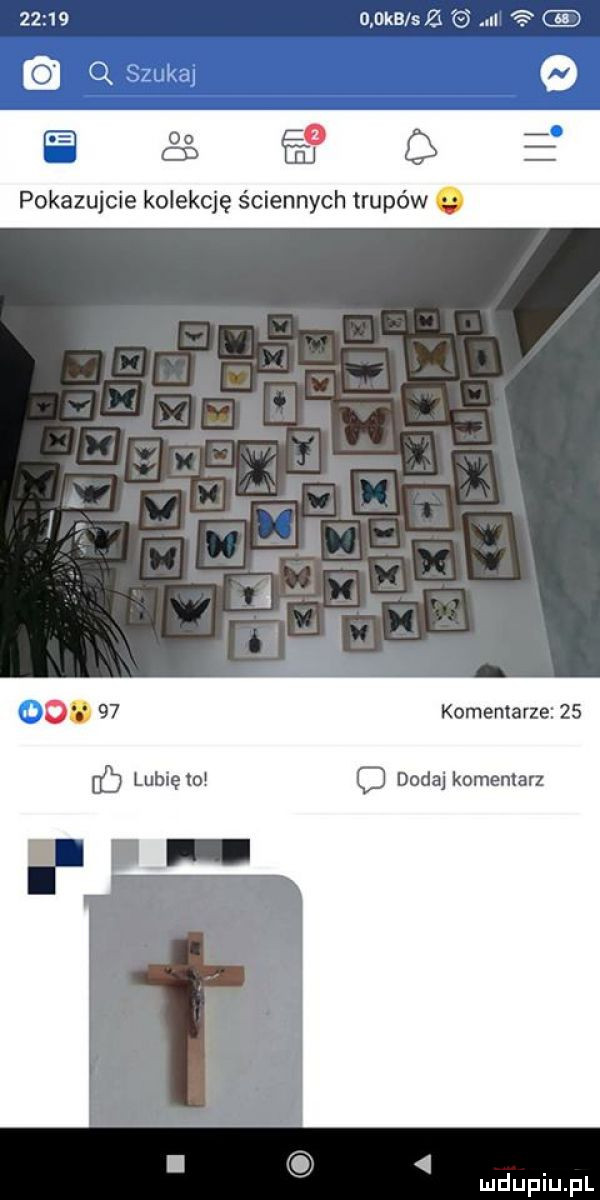 kb  z n a q gum      pokazujcie kolekcję ściennych trupów g komemarze    o dodaj kom nlarz