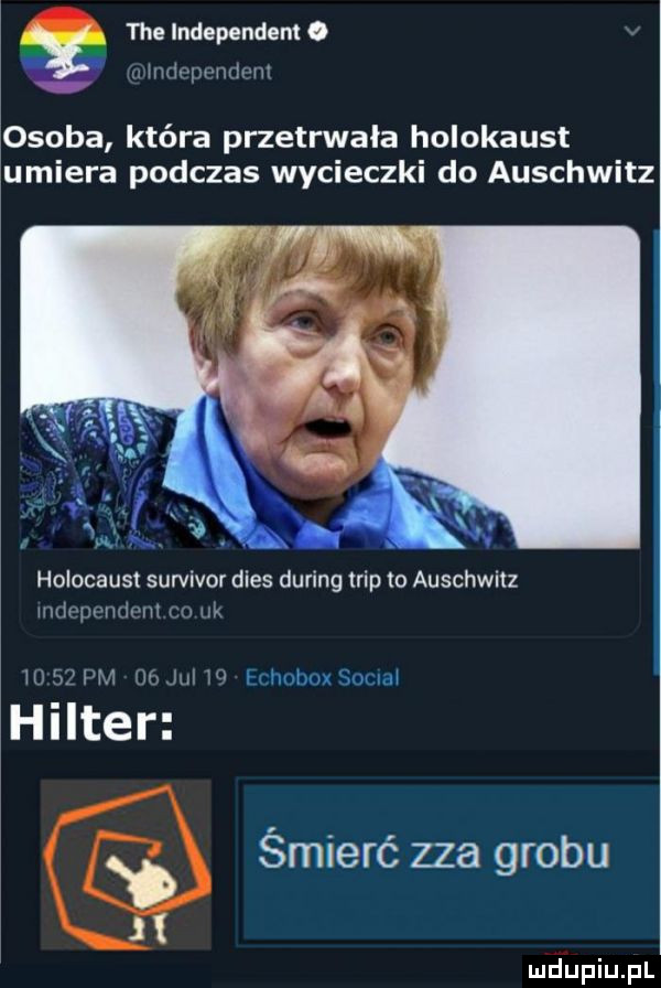 tee independent o x m mm osoba która przetrwała holokaust umiera podczas wycieczki do auschwitz i łąk n. holocaust survivor dres during trip to auschwitz whprwir nh huan w r hhnbux siad halter śmierć zza grobu