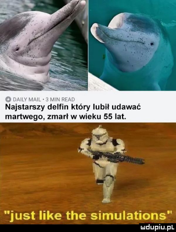 jat say delfin który lubil udawać martwego zmarł w wieku    lat. just like tee simulations