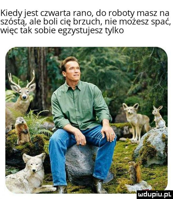 kiedyjest czwarta rano do roboty masz na szóstą ale boll cię brzuch me mozesz spać więc tak sobie egzystujesz tylko