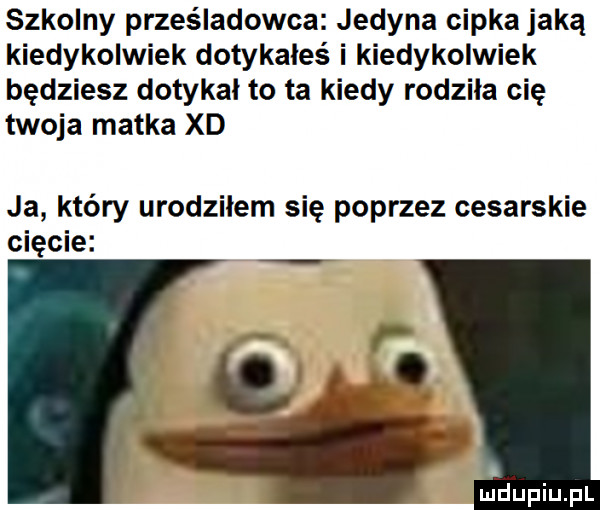 szkolny prześladowca jedyna cipka jaką kiedykolwiek dotykałes i kiedykolwiek będziesz dotykal to ta kiedy rodziła cię twoja matka xd ja który urodziłem się poprzez cesarskie cięcie